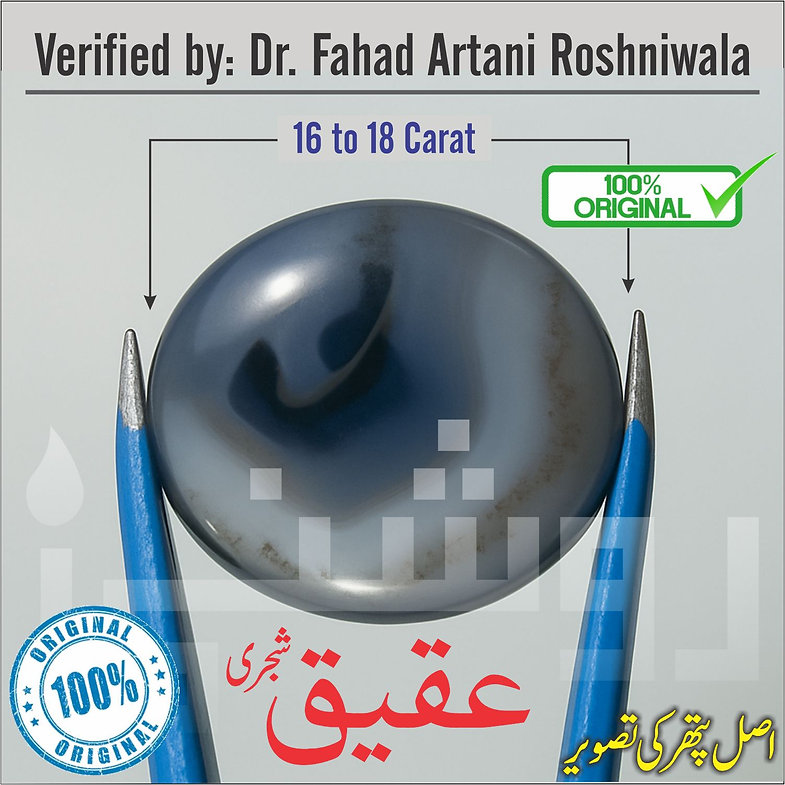 Shajri Aqeeq - Image 2