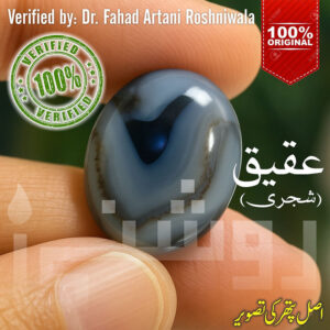Shajri Aqeeq